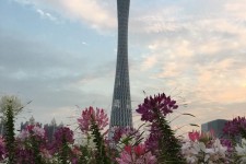 乐山广州旅游攻略(杭州到广州旅游攻略)
