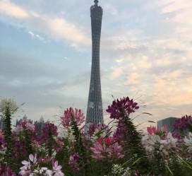 乐山广州旅游攻略(杭州到广州旅游攻略)