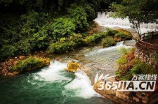 乐山去哪里旅游好(七月八月去哪里旅游好)