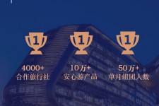 乐山上海私人伴游 ​ “小而美”的新时代：2020年国内新跟团消费报告