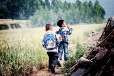 乐山河南一家四口结伴游中国2个月(河南适合一家四口旅游的地方)