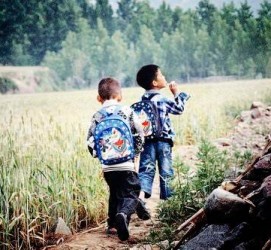 乐山河南一家四口结伴游中国2个月(河南适合一家四口旅游的地方)