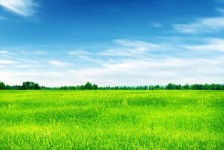 乐山上海伴游 上海模特伴游微信号的交友宣言