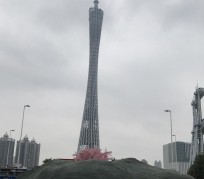 乐山广州游玩攻略(广州游玩攻略景点大全免费)