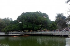 乐山福州旅游攻略(福州旅游攻略二日游)