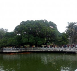 乐山福州旅游攻略(福州旅游攻略二日游)