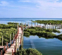 乐山旅游哪里好玩(云南旅游哪里好玩)