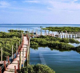 乐山旅游哪里好玩(云南旅游哪里好玩)