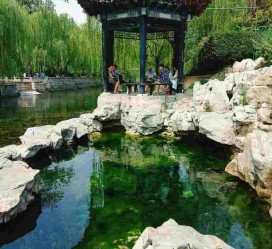 乐山济南旅游攻略(青岛威海济南旅游攻略)