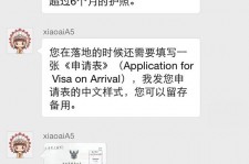 乐山国外伴游软件进中国的(国内高端伴游哪个app好)