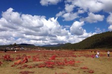 乐山旅游去处(暑期最好的旅游去处)