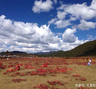 乐山旅游去处(暑期最好的旅游去处)