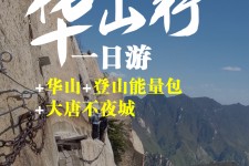 乐山一日游(一日游需要准备些什么东西?)