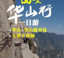 乐山一日游(一日游需要准备些什么东西?)