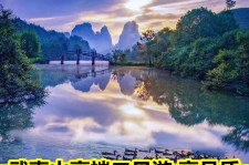 乐山游跟团(旅游跟团)