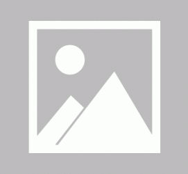 乐山私人伴游 黄金周里动“黄”经 天津又现“私人陪游”逆流