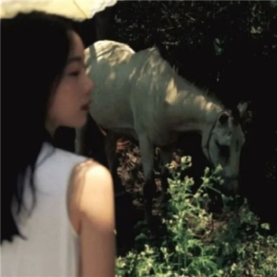 乐山私家伴游让你拥有一次完美的旅游体验